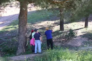 jornada de voluntariado medioambiental