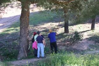 jornada de voluntariado medioambiental