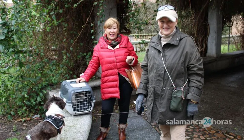 San Antón, bendición de animales 2024. Foto S24H (1)