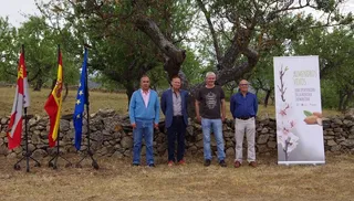 Adezos y Adecocir fomentan la economía verde impulsando el cultivo del almendro