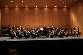 Concierto año nuevo (9)