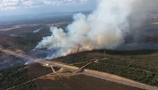 Incendio Val de Santa María, Zamora | Naturaleza CyL