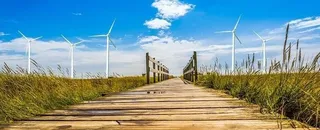 Energía renovable