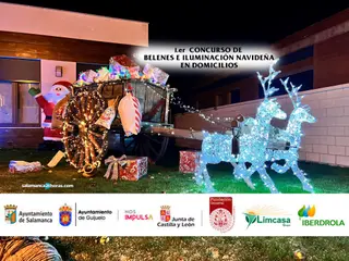 1.er CONCURSO DE BELENES E ILUMINACIÓN NAVIDEÑA EN DOMICILIOS | una iluminación a gran escala n u b 31
