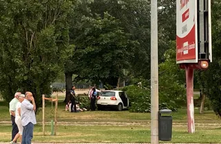 GALERÍA | Un coche se sale de la vía y se va contra un árbol en Salas Bajas