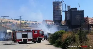 Un incendio calcina cuatro hectáreas de pasto y cereal en Macotera