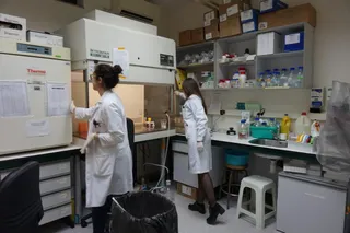 Investigacion (5)