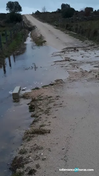 Caminos Pereña (7)