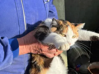 Una persona mayor con un gato. Foto S24H