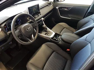 RAV4 (18)