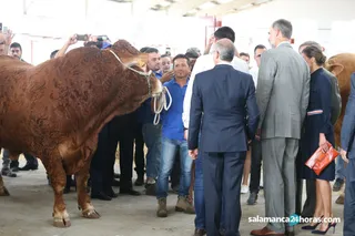 JOTA0114