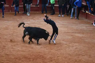 Capea de martes por la tarde en el Carnaval del Toro 2026 | Mateo G.J.