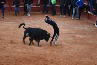 Capea de martes por la tarde en el Carnaval del Toro 2026 | Mateo G.J.