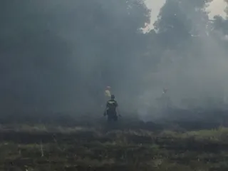 Incendio en Arapiles