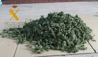 ¿Qué efectos provoca el consumo de marihuana?