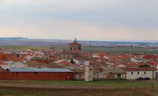 Macotera