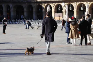 Chico paseando a su perro en la Plaza Mayor | Foto archivo