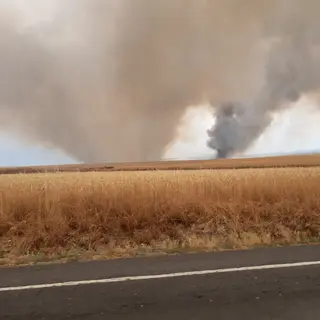 Incendio de cultivo en Malpartida | @InfuesAvila