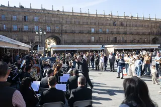 Apertura de la 31º Feria del Libro Antiguo y de Ocasión. Foto de archivo