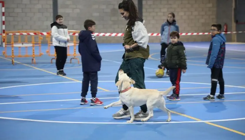 Carbajosa, exhibición adiestramiento canino 1