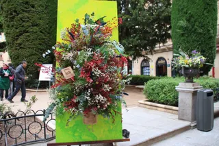 Feria de las flores en la plaza de la Libertad