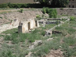 Ciudadanos del Patrimonio reclama la intervención de las administraciones para frenar la destrucción definitiva de El Botánico