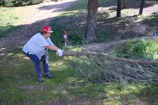 jornada de voluntariado medioambiental