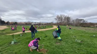 Plantacion voluntarios en Corredores Verdes