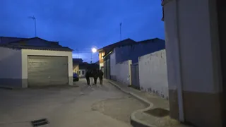 Nave agrícola donde ha fallecido un agricultor en Calzada de Valdunciel