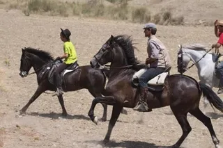 Suspendido el Concurso Territorial de Equitación de Trabajo por falta de caballos