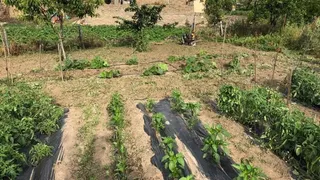 Huerto