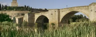 Mejoras en la iluminación artística con la reposición de las lámparas del Puente Mayor
