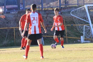 JOTA0383 1