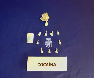 Cocaína | PN