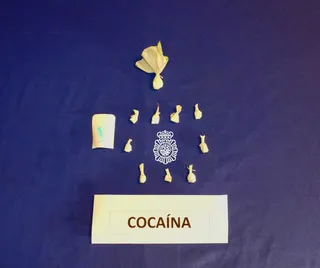 Cocaína | PN