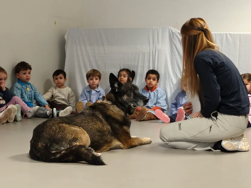 Talleres escolares de tenencia responsable de animales