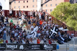 Aficionados de Unionistas en el Reina Sofía / FOTO SALAMANCA24HORAS.COM