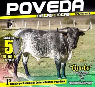 Poveda de las cintas (3)