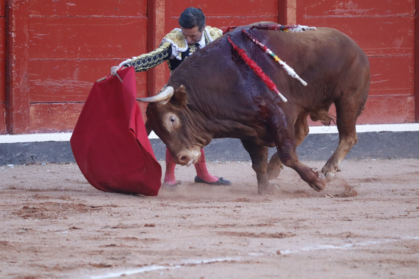 Diego Urdiales ante el cuarto toro de la tarde, el primer sobrero | Asier Galache