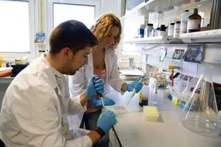 Denuncian un nuevo retraso en las ayudas para contratar jóvenes investigadores