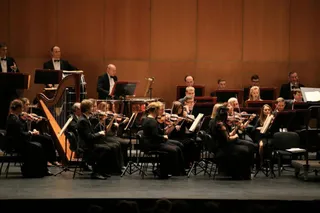 Concierto año nuevo (4)