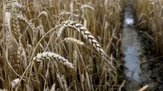 Agricultura y Ganadería firma un convenio con Agroseguro para anticipar la ayuda y abonarla al suscribir la póliza del seguro