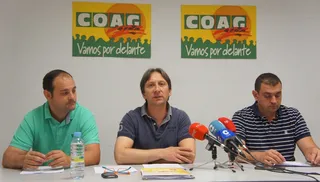 COAG vislumbra la peor campaña apícola que se recuerda