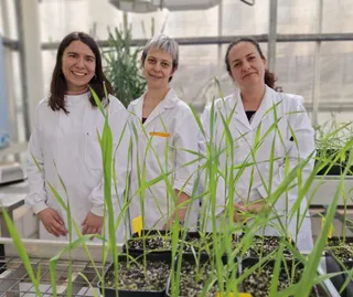 Las investigadoras que participan en el Programa Alianzas IRNASA, Carmen Sánchez Cañizares, Silvia Manrique y Carmen Escudero | IRNASA-CSIS