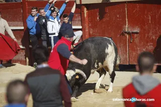 Toro del antruejo (34)
