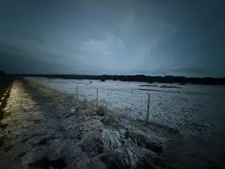 El campo se tiñe de blanco: la nieve vuelve a Salamanca