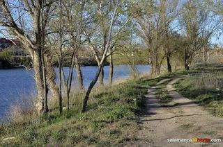 Proyecto Tormes+: paseo fluvial
