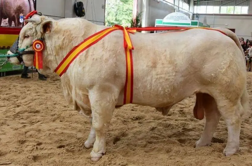 Hernán, campeón en 2018