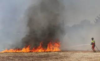 Incendio agrícola en la N-610, Palencia. Foto Brágimo | ICAL