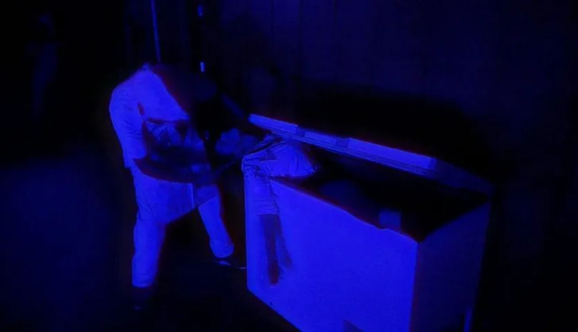Matadero del terror en Pelabravo (4)
